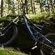Biking is awesome