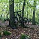 Stumpy1