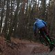 IMG 1245