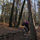 IMG 1734