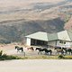 Verkehr chilenische Art; Pferde, Kühe, Ziegen hier läuft alles frei herum