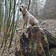 Wanderung