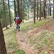 IMG-20250416-WA0035