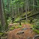 BC Squamish - Credit Line