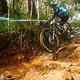 Sam Blenkinsop