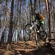 Bike Beerfelden P 286