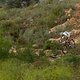 Nino Schurter und Philip Buys können sich absetzen - Cape Epic 2014 Prolog - Foto von  Greg Beadle-Cape Epic-SPORTZPICS