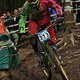 IMG 0542