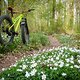 Wofür verwende ich mein Fatbike? Nun, in der Regel folgt es meiner Tochter auf die Singletrails