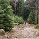 20170410-27L Harz