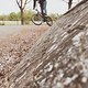 IMG-20170423-WA0003
