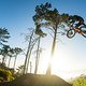 scott-sports-a-dogs-life-madeira-2020-actionimage-brendan-fairclough-063-web