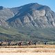Riders on stage 3 of the 2021 Absa Cape Epic Mountain Bike stage race from Saronsberg to Saronsberg, Tulbagh, South Africa on the 20th October 2021

Photo by Kelvin Trautman/Cape Epic

PLEASE ENSURE THE APPROPRIATE CREDIT IS GIVEN TO THE PHOTOGRAPHER