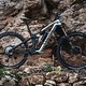 Das Canyon Strive ist ein reinrassiges Enduro-Race-Bike und begeistert mit viel Speed und Kontrolle