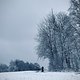 Winterpokal-Aktivität
