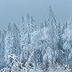 Frozen Rennsteig 8