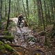 BC Squamish - Grinch Toes