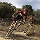 Tristan Nortje and Marco Joubert during Stage 4 of the 2025 Absa Cape Epic Mountain Bike stage race held at Fairview, Paarl, Cape Town, South Africa on the 20th March 2025. Photo by Nick Muzik/Cape Epic
PLEASE ENSURE THE APPROPRIATE CREDIT IS GIVEN T