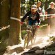 Andric DM Bad Wildbad