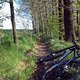 IMG978