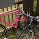 IMG 1987