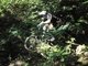 Rumbleinthejungle