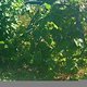 DSCF0038