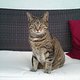 DSC00142-klein