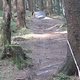 IMG 1005Large