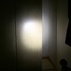IMG 8782