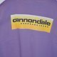 Cannondale Banner