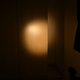 IMG 8781