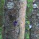 2012-05-07 19-34-26 312