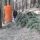 IMG 0976Large 1272301297