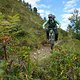 DSC00240