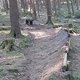 IMG 1001Large 1272301674