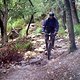 Gandhi elfengleich im Unterrholz am Col Massanella / Mallorca