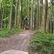 Leimbach Trail