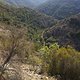 Im Esterel