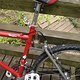 IMG 0281