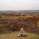IMG 0357