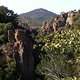 Im Esterel