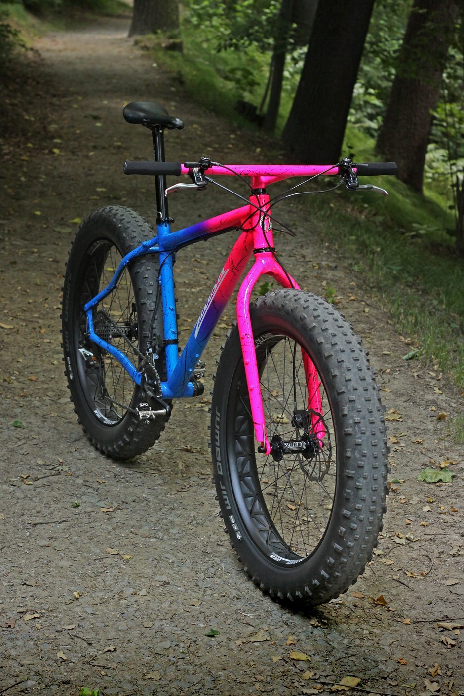 salsa mukluk fatbike